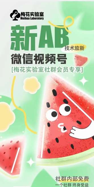 梅花实验室2024年AB技术视频号AB合成破解版-赛德副业库