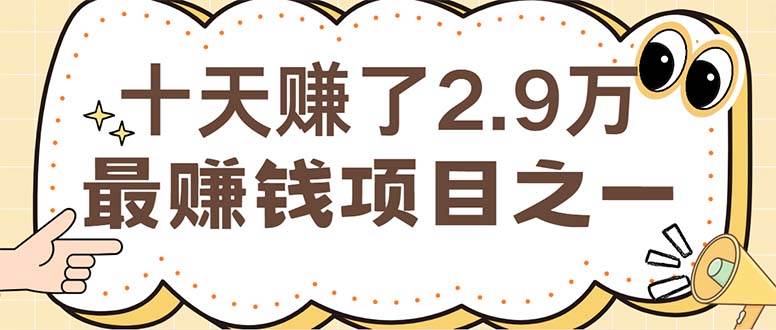 （12491期）闲鱼小红书赚钱项目之一，轻松月入6万+项目-赛德副业库