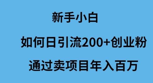 （9668期）新手小白如何日引流200+创业粉通过卖项目年入百万-赛德副业库