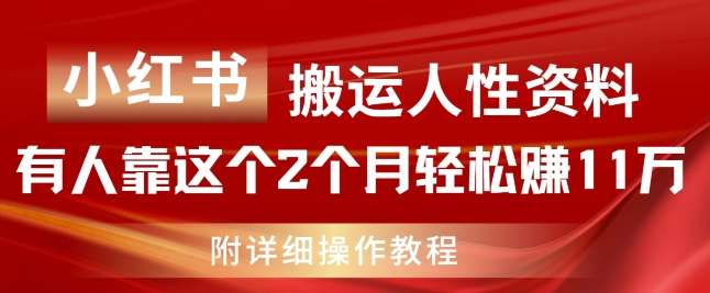 小红书搬运人性资料，有人靠这个2个月轻松赚11w，附教程【揭秘】-赛德副业库