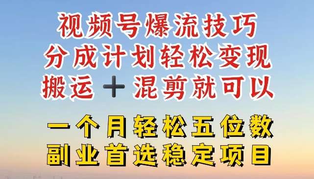 视频号爆流技巧，分成计划轻松变现，搬运 +混剪就可以，一个月轻松五位数稳定项目【揭秘】-赛德副业库