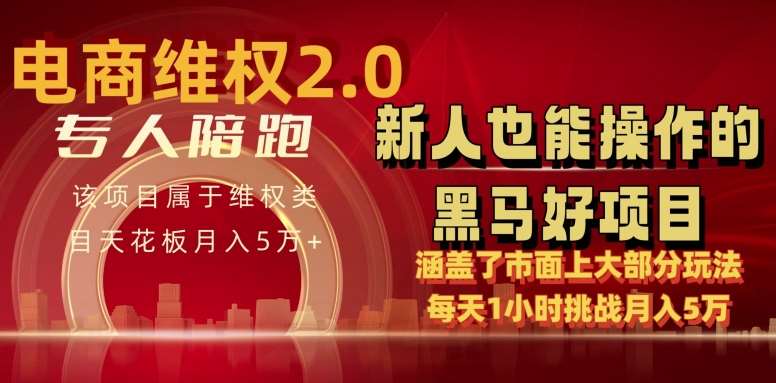 电商维权 4.0 如何做到月入 5 万+每天 1 小时新人也能快速上手【仅揭秘】-赛德副业库