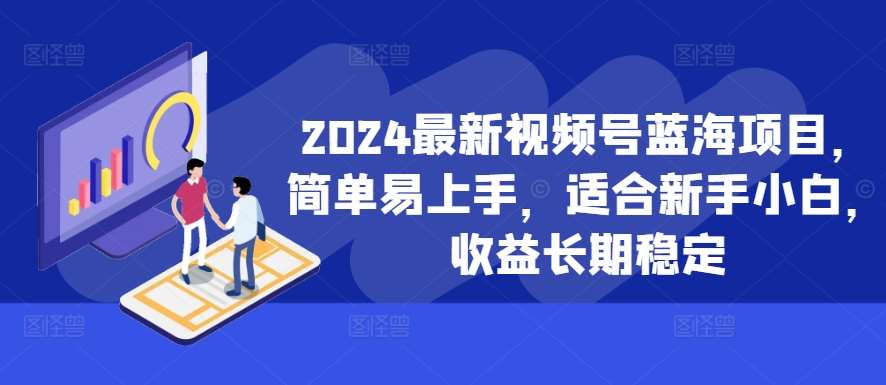 2024最新视频号蓝海项目，简单易上手，适合新手小白，收益长期稳定-赛德副业库