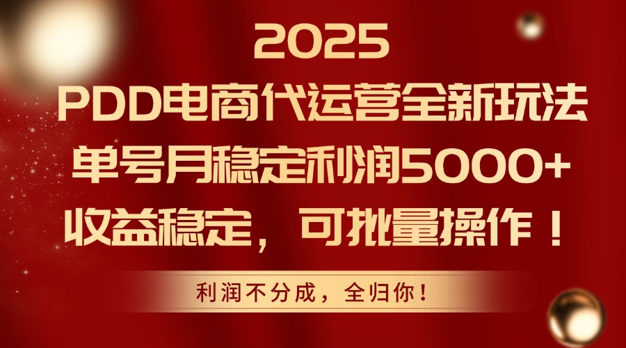 （14839期）2025PDD电商代运营全新玩法，单号月稳定利润5000+，收益稳定，可批量操作-赛德副业库