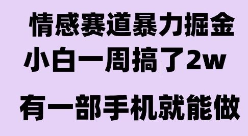 情感暴力掘金项目，新人操作一周挣了2W，长期稳定小白可做【揭秘】-赛德副业库