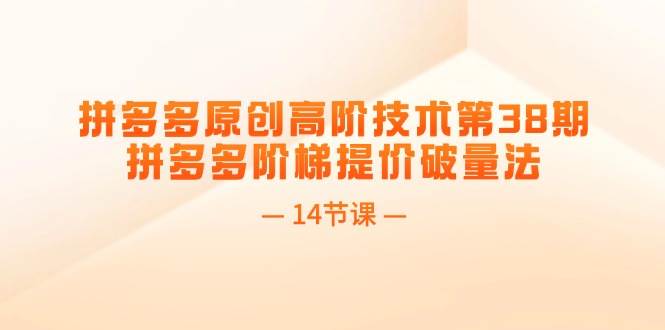 （11704期）拼多多原创高阶技术第38期，拼多多阶梯提价破量法（14节课）-赛德副业库