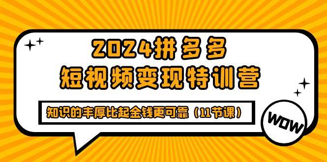 （9817期）2024拼多多短视频变现特训营，知识的丰厚比起金钱更可靠（11节课）-赛德副业库