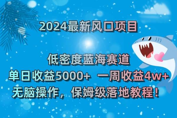 （8545期）2024最新风口项目 低密度蓝海赛道，日收益5000+周收益4w+ 无脑操作，保…-赛德副业库