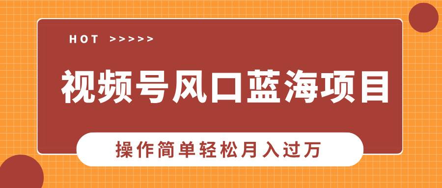 (13945期)视频号风口蓝海项目,中老年人的流量密码,操作简单轻松月入过万-赛德副业库