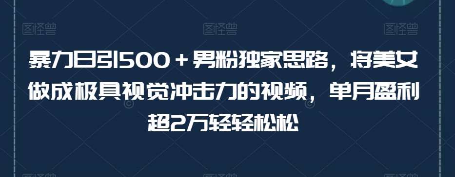 暴力日引500＋男粉独家思路，将美女做成极具视觉冲击力的视频，单月盈利超2万轻轻松松-赛德副业库