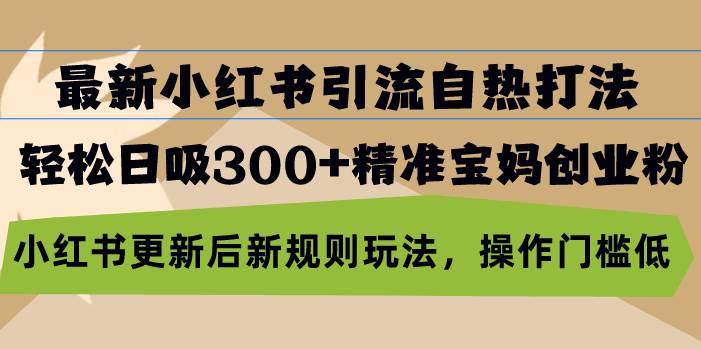 （13145期）最新小红书引流自热打法，轻松日吸300+精准宝妈创业粉，小红书更新后新…-赛德副业库