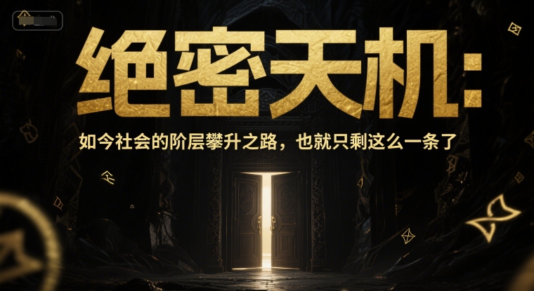 付费文章:绝密天机:如今社会的阶层攀升之路,也就只剩这么一条了-赛德副业库