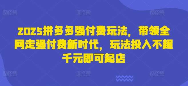 2025拼多多强付费玩法，带领全网走强付费新时代，玩法投入不超千元即可起店-赛德副业库