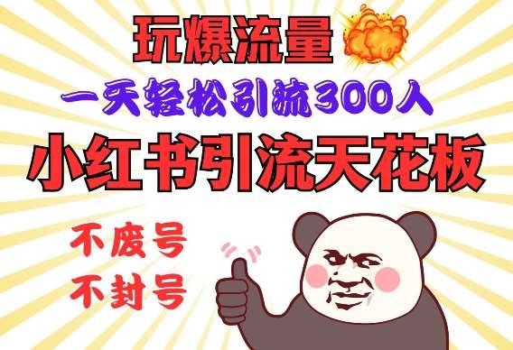 小红书引流天花板，玩爆流量，一天轻松引流300人，安全操作-赛德副业库