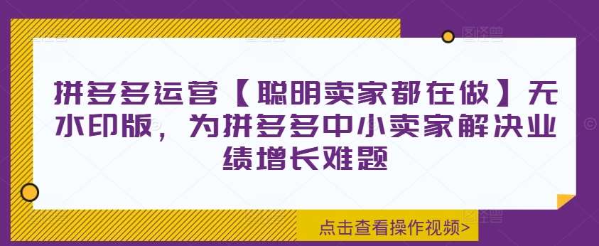 拼多多运营【聪明卖家都在做】无水印版，为拼多多中小卖家解决业绩增长难题-赛德副业库