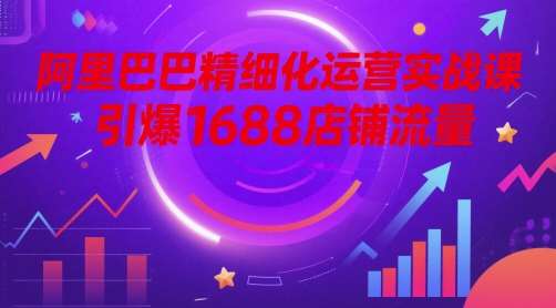 阿里巴巴精细化运营实战课，引爆1688店铺流量-赛德副业库