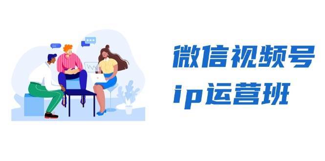 微信视频号ip运营班:特邀分享+CEO直播+精英分享,揭秘视频号变现秘诀-赛德副业库