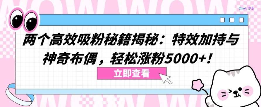 两个高效吸粉秘籍揭秘：特效加持与神奇布偶，轻松涨粉5000+【揭秘】-赛德副业库