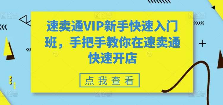 速卖通VIP新手快速入门班,手把手教你在速卖通快速开店-赛德副业库