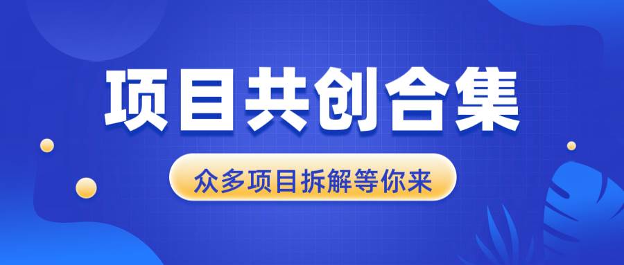 (13778期)项目共创合集,从0-1全过程拆解,让你迅速找到适合自已的项目-赛德副业库