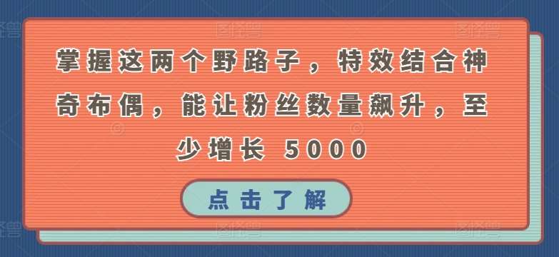 掌握这两个野路子，特效结合神奇布偶，能让粉丝数量飙升，至少增长 5000【揭秘】-赛德副业库