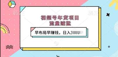 视频号年货项目，流量贼猛，早布局早挣钱，日入上k【揭秘】-赛德副业库