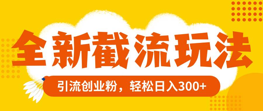 （8025期）全新截流玩法，精准引流创业粉，轻松日入300+-赛德副业库