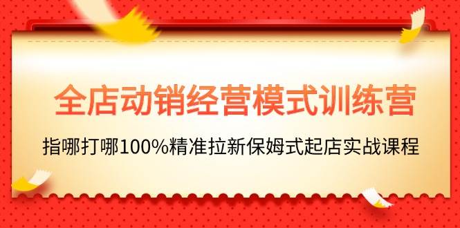 （11460期）全店动销-经营模式训练营，指哪打哪100%精准拉新保姆式起店实战课程-赛德副业库