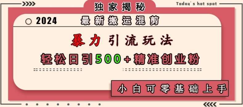 最新搬运混剪暴力引流玩法,轻松日引500+精准创业粉,小白可零基础上手-赛德副业库