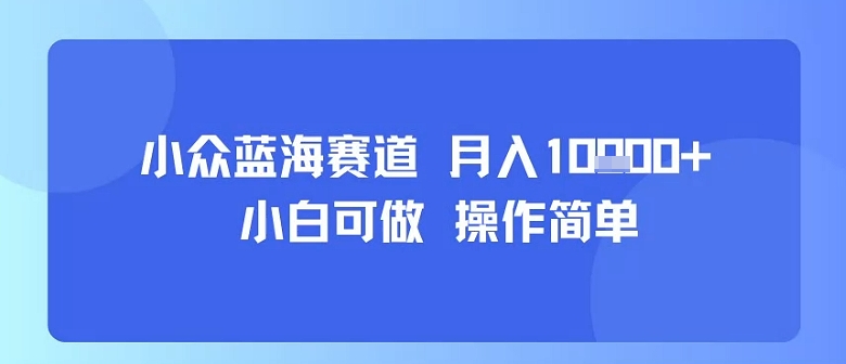 小众蓝海赛道，小白可做，操作简单，每天30分钟，月入1W+-赛德副业库