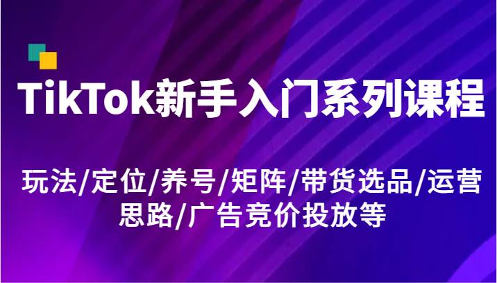 TikTok新手入门系列课程，玩法/定位/养号/矩阵/带货选品/运营思路/广告竞价投放等-赛德副业库