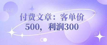 付费文章:客单价500,利润300-赛德副业库