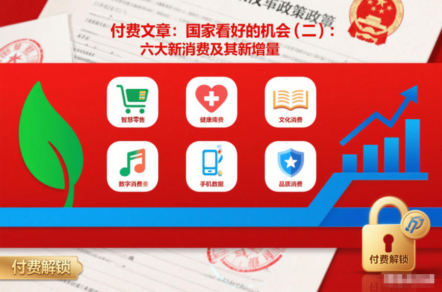 付费文章:国家看好的机会(二):六大新消费及其新增量-赛德副业库