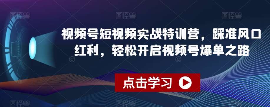 视频号短视频实战特训营，踩准风口红利，轻松开启视频号爆单之路-赛德副业库