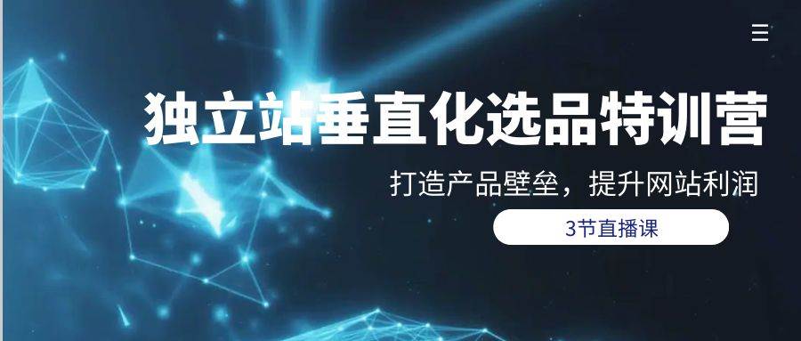 （9925期）独立站-垂直化选品训练营，打造产品壁垒，提升网站利润（3节直播课）-赛德副业库