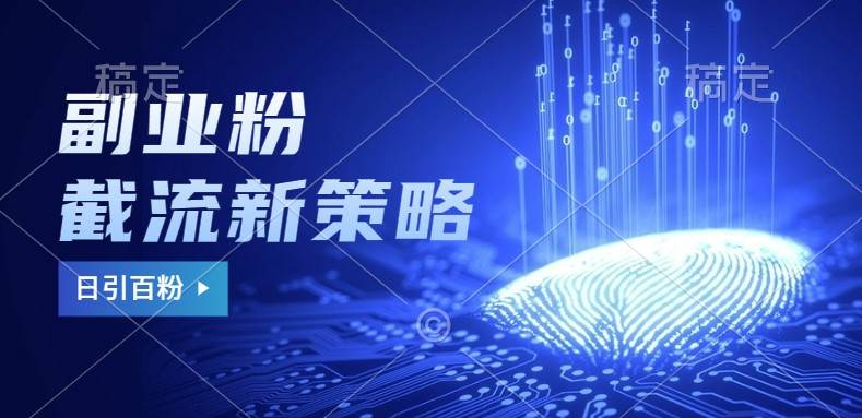 副业粉截流玩法与更新，不废号， 不封号。日引100+-赛德副业库
