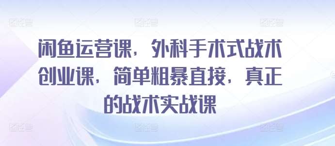 闲鱼运营课,外科手术式战术创业课,简单粗暴直接,真正的战术实战课-赛德副业库