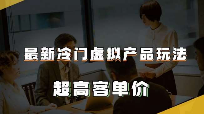 最新冷门虚拟产品玩法，超高客单价，月入2-3万＋【揭秘】-赛德副业库