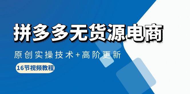 （10015期）拼多多无货源电商，原创实操技术+高阶更新（16节视频教程）-赛德副业库