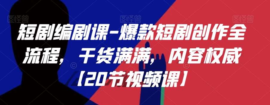 短剧编剧课-爆款短剧创作全流程，干货满满，内容权威【20节视频课】-赛德副业库