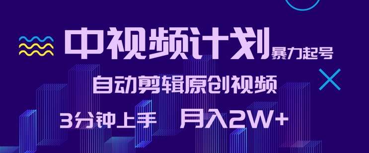 中视频计划暴力起号，自动剪辑原创视频，3分钟上手，月入2W+【揭秘】-赛德副业库