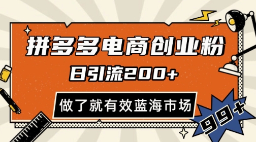 拼多多引流电商创业粉,日引200+,可矩阵放大,做了就有效【揭秘】-赛德副业库