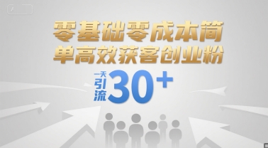 零基础零成本简单高效获客创业粉，一天引流30+-赛德副业库