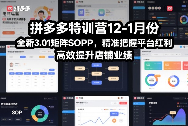 拼多多特训营12-1月份，全新3.01矩阵Sop，精准把握平台红利，高效提升店铺业绩-赛德副业库