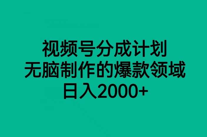 视频号分成计划，无脑制作的爆款领域，日入2000+-赛德副业库
