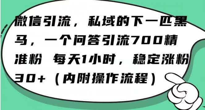 怎么搞精准创业粉？微信新赛道，每天一小时，利用Ai一个问答日引100精准粉-赛德副业库