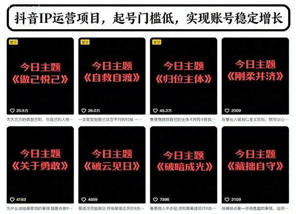抖音IP运营项目，抖音今日主题玩法，起号门槛低，实现账号稳定增长-赛德副业库