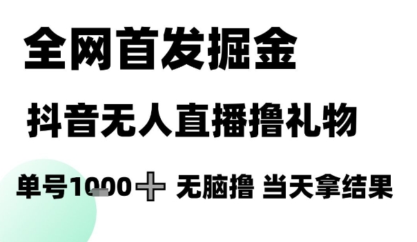 全网首发掘金抖音无人直播撸礼物，单号1k +无脑撸，当天拿结果【揭秘】-赛德副业库
