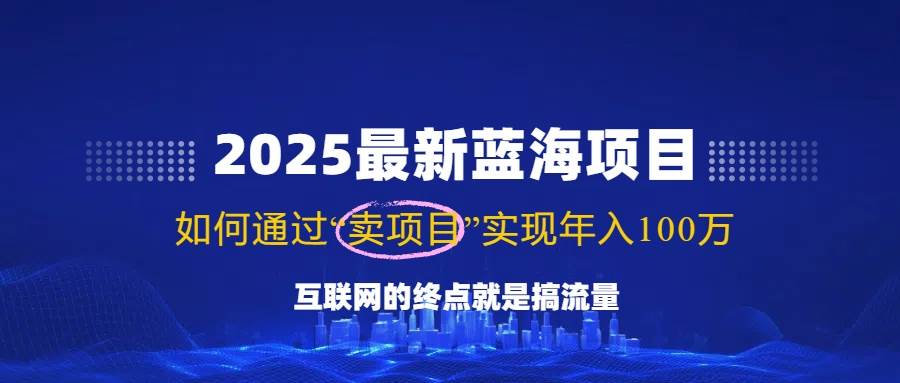 （14305期）2025最新蓝海项目，零门槛轻松复制，月入10万+，新手也能操作！-赛德副业库