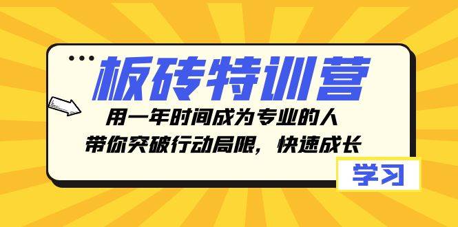 （8048期）板砖特训营，用一年时间成为专业的人，带你突破行动局限，快速成长-赛德副业库